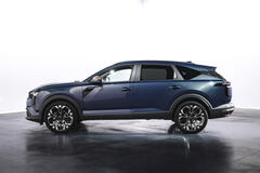 Dacia Striker