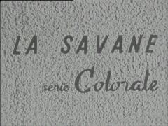21203227_1950 - Renault Colorale, version _Savane_