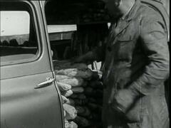 21203229_1950 - Renault Colorale
